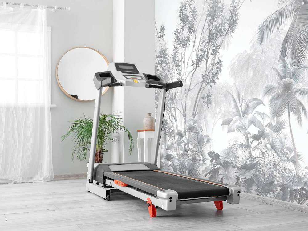 Tropische Mistpalmen