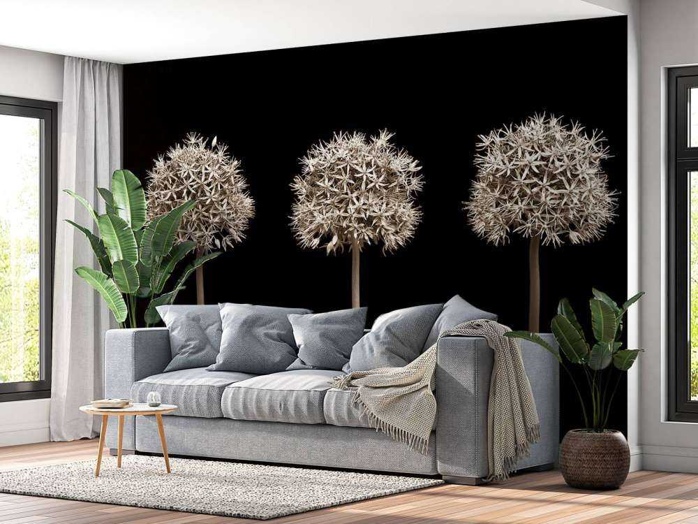 Drei Alliumblüten in einer Reihe