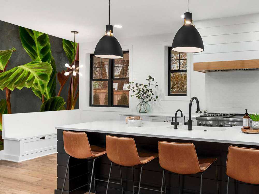 Pflanze mit schönen grünen Blättern