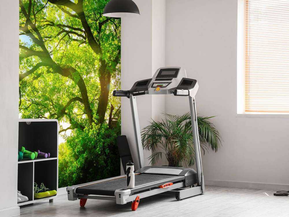 Baum mit Sonnenstrahlen