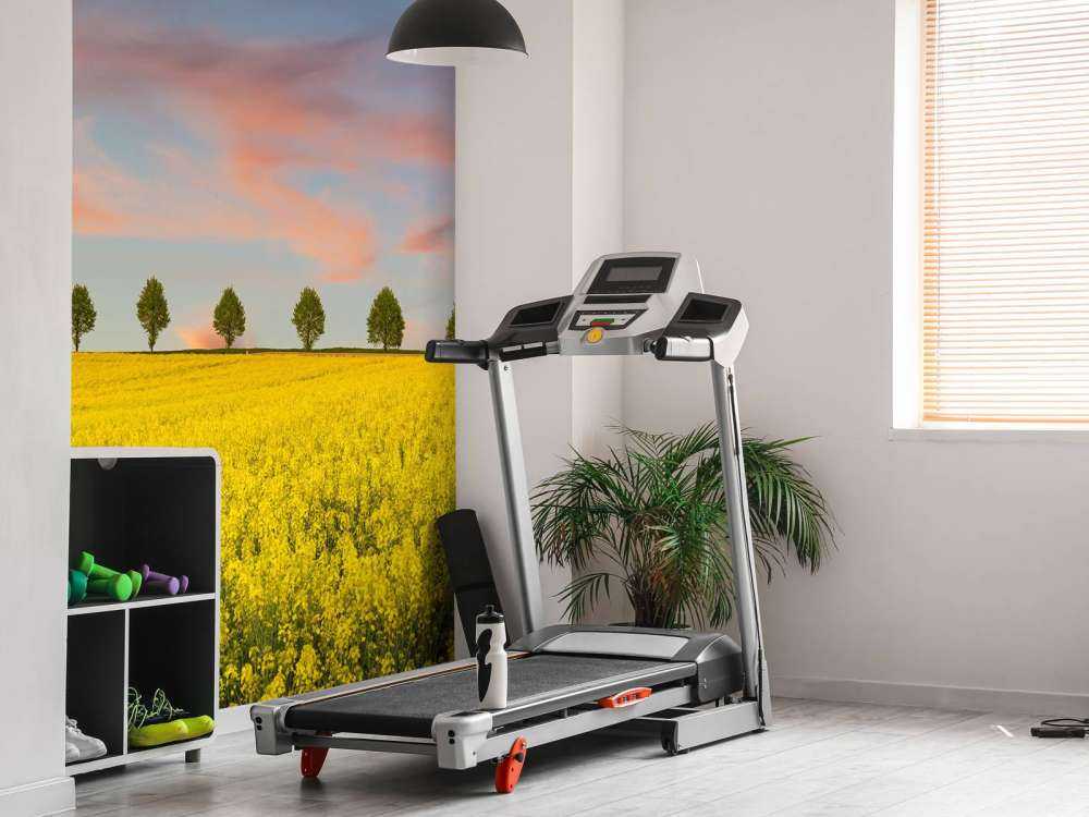 Feld voller gelber Blumen