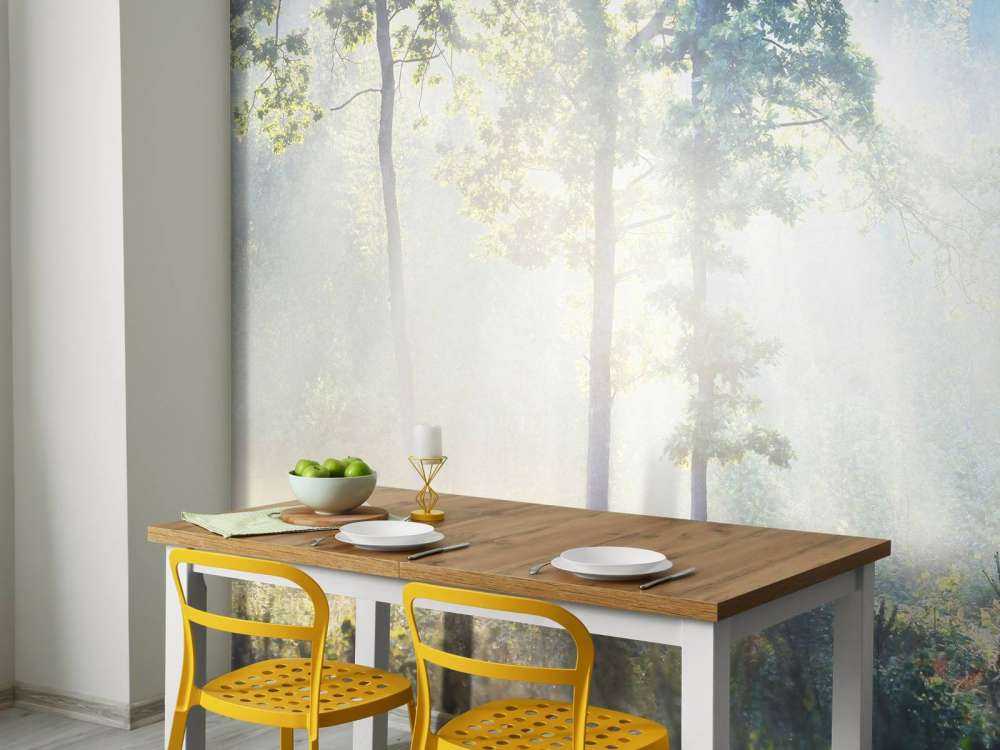 Ein geheimnisvoller Wald