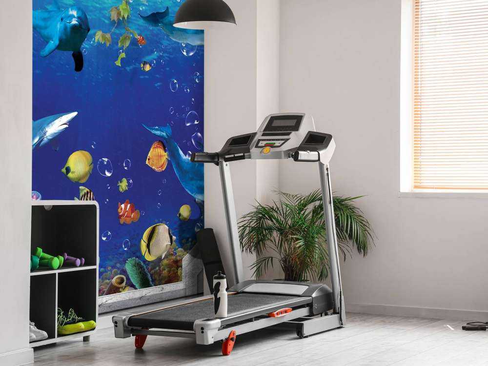 Delphine durch die Wand