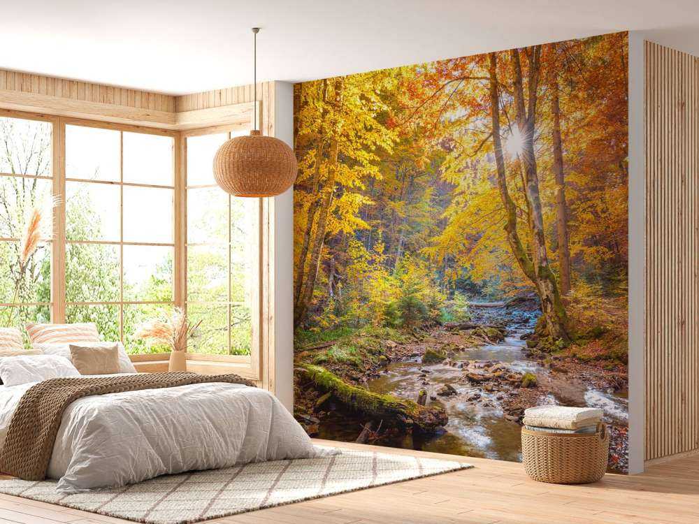 Herbst im wilden Wald