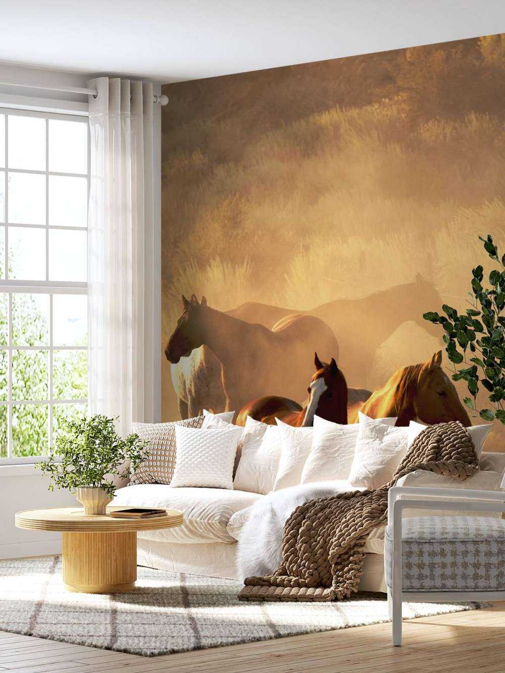 Pferde während des Sonnenuntergangs