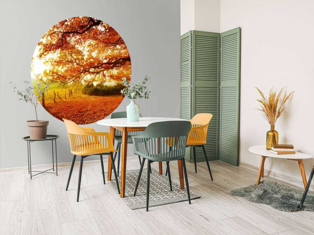 Herbstlandschaft mit Wald und Wiese