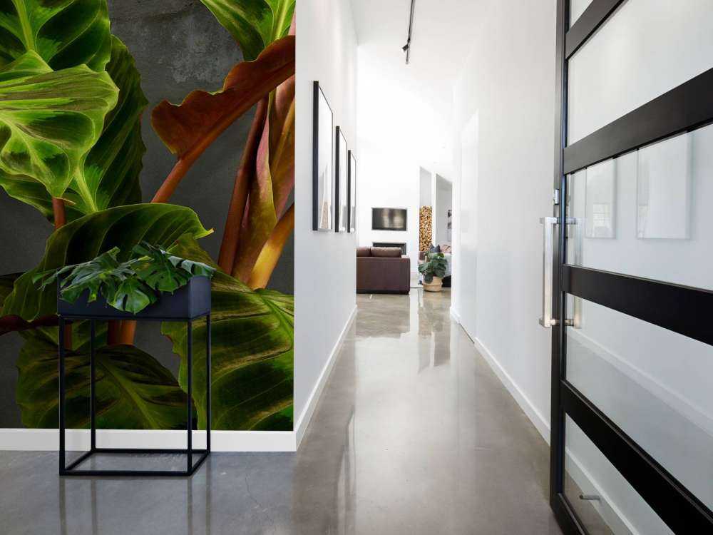 Pflanze mit schönen grünen Blättern