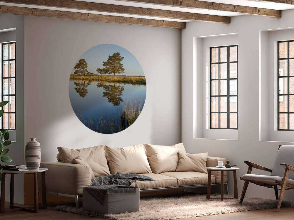 Waldland in der Heide