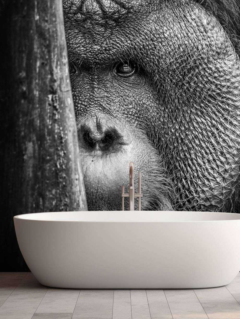 Orang-Utan schwarz-weiß