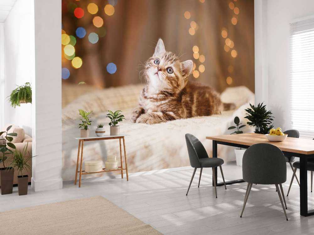 Niedliche Katze