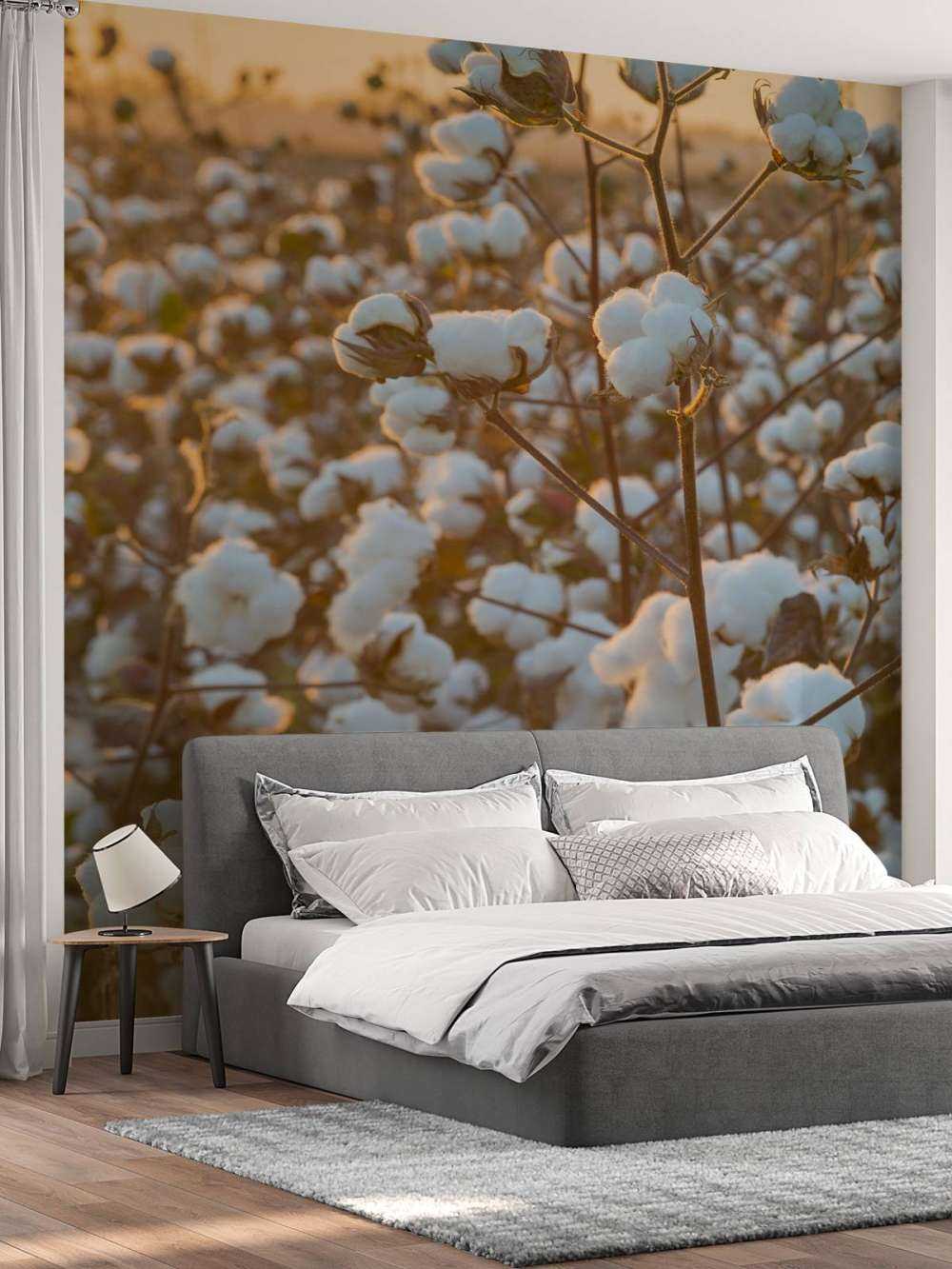 Baumwollfeld mit goldgelbem Himmel