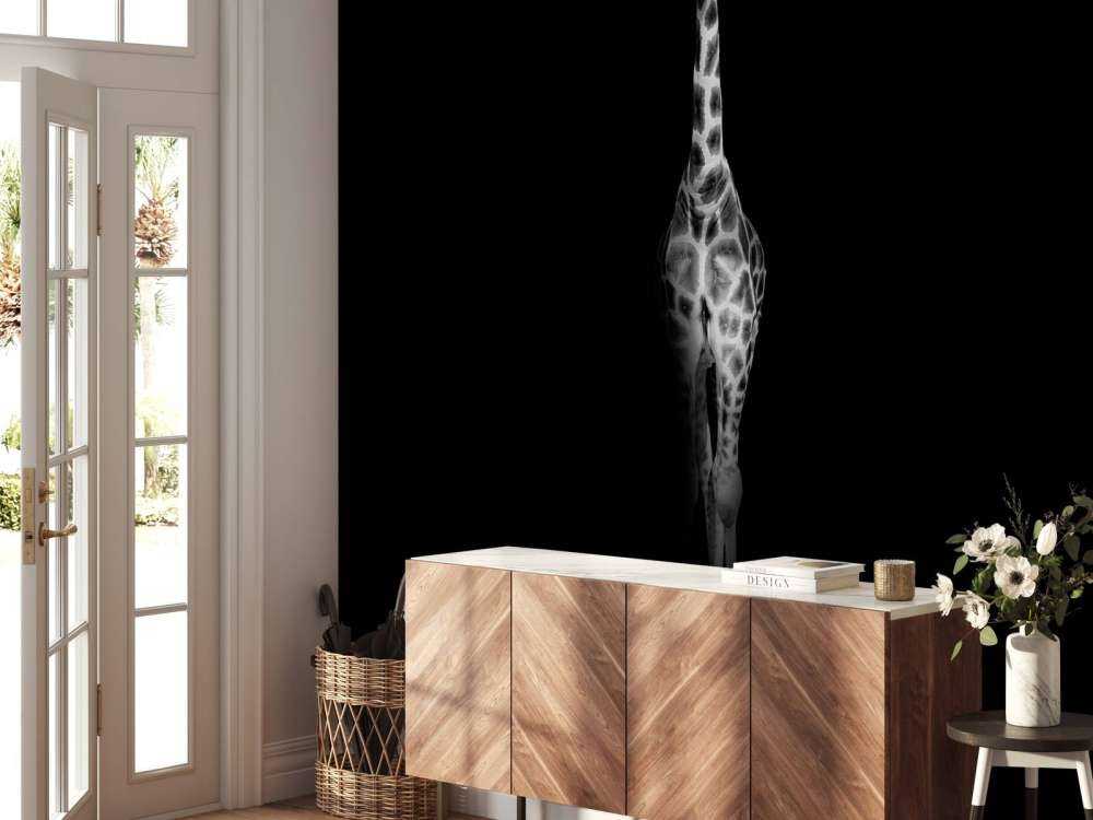 Giraffe schwarz-weiß