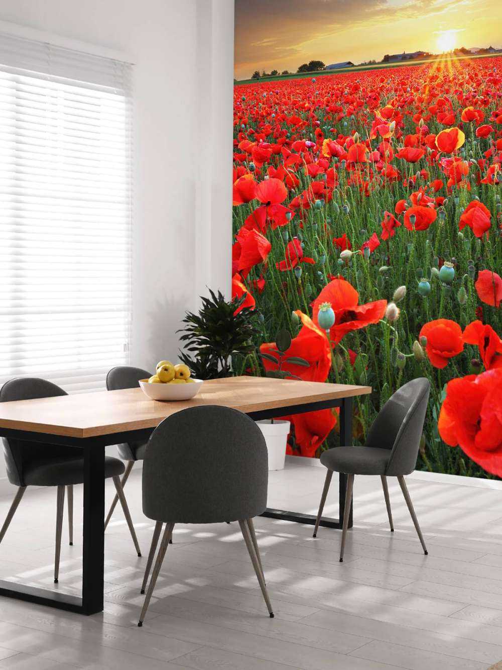 Mohnblumen bei Sonnenuntergang