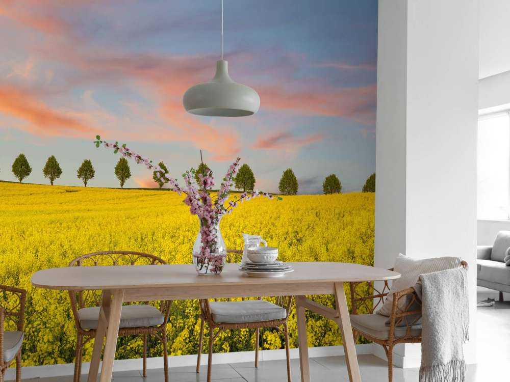 Feld voller gelber Blumen