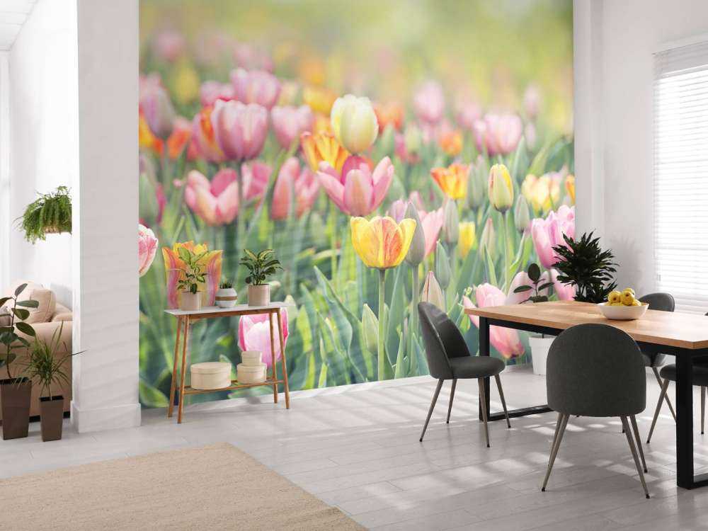 Bunte Tulpen