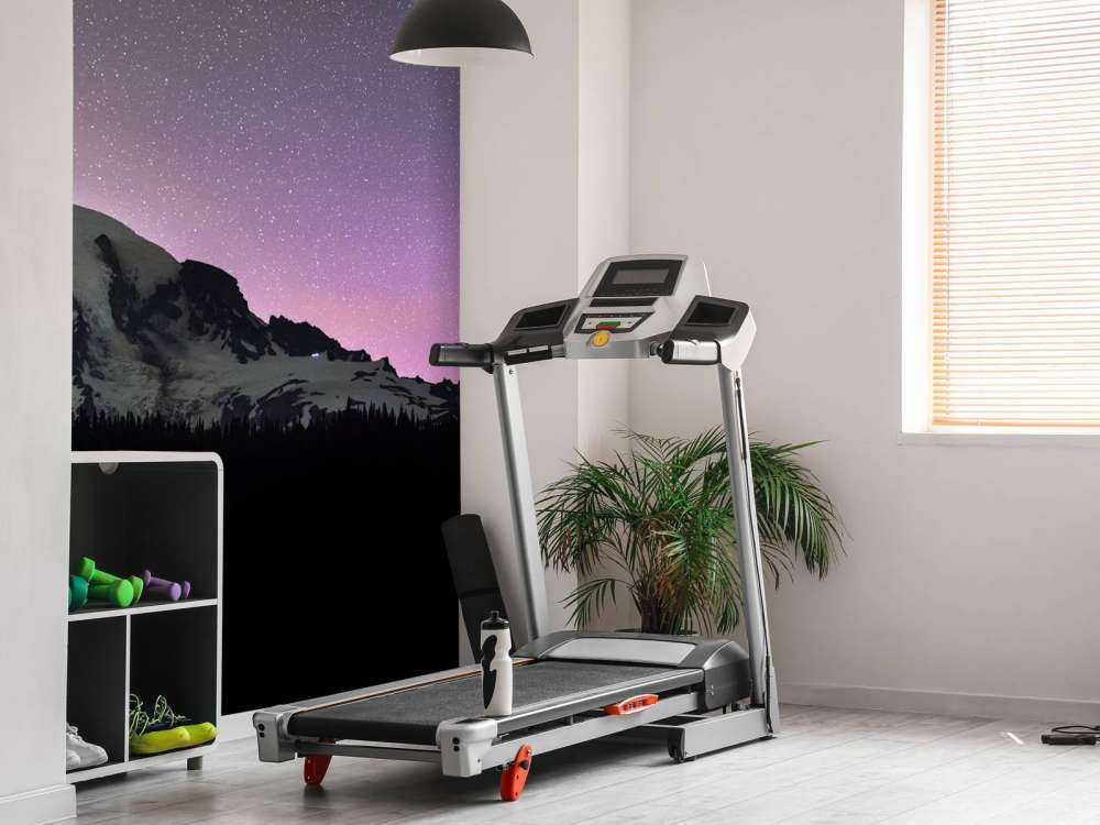 Mount Rainier mit Nordlicht