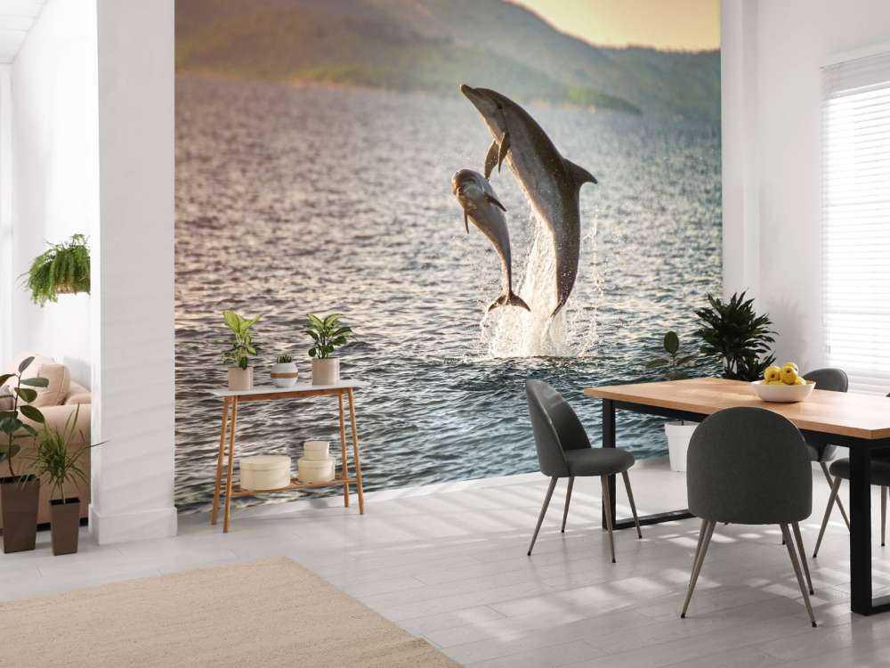 Zwei springende Delfine