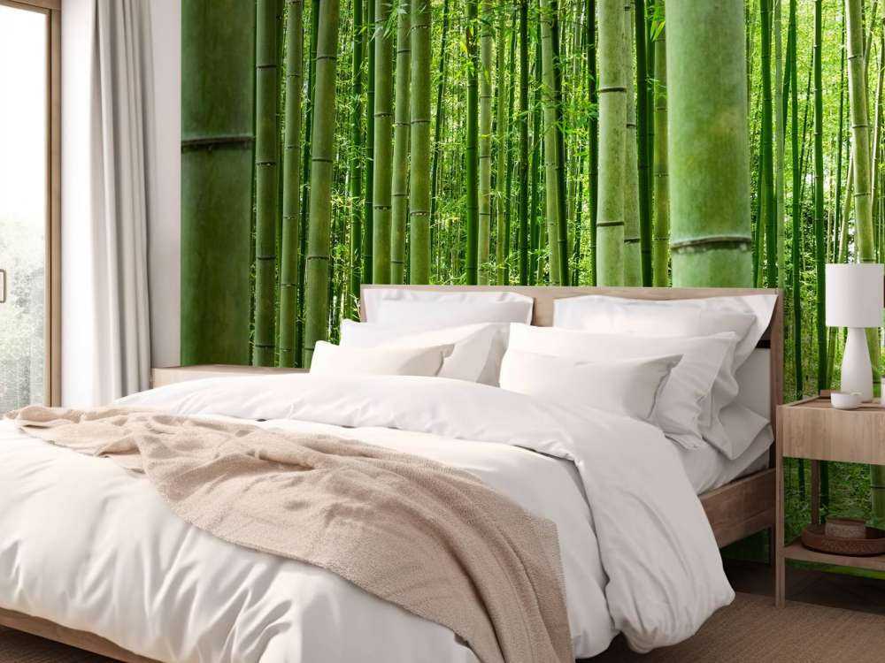 Inmitten des Bambuswaldes