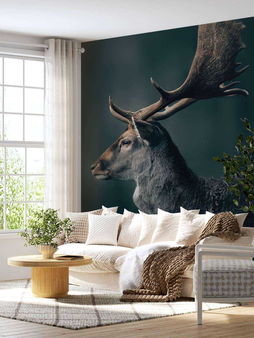 Damhirsch Nahaufnahme