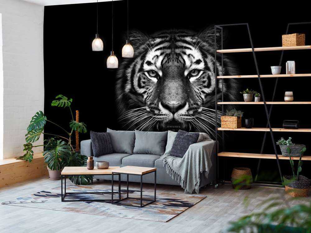 Dark Tiger