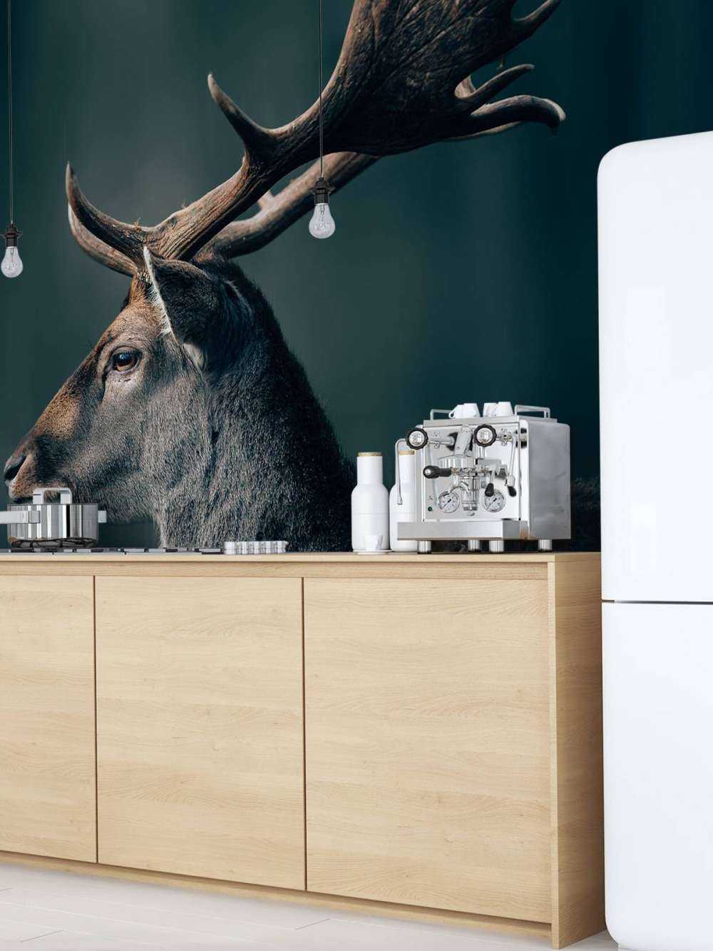 Damhirsch Nahaufnahme