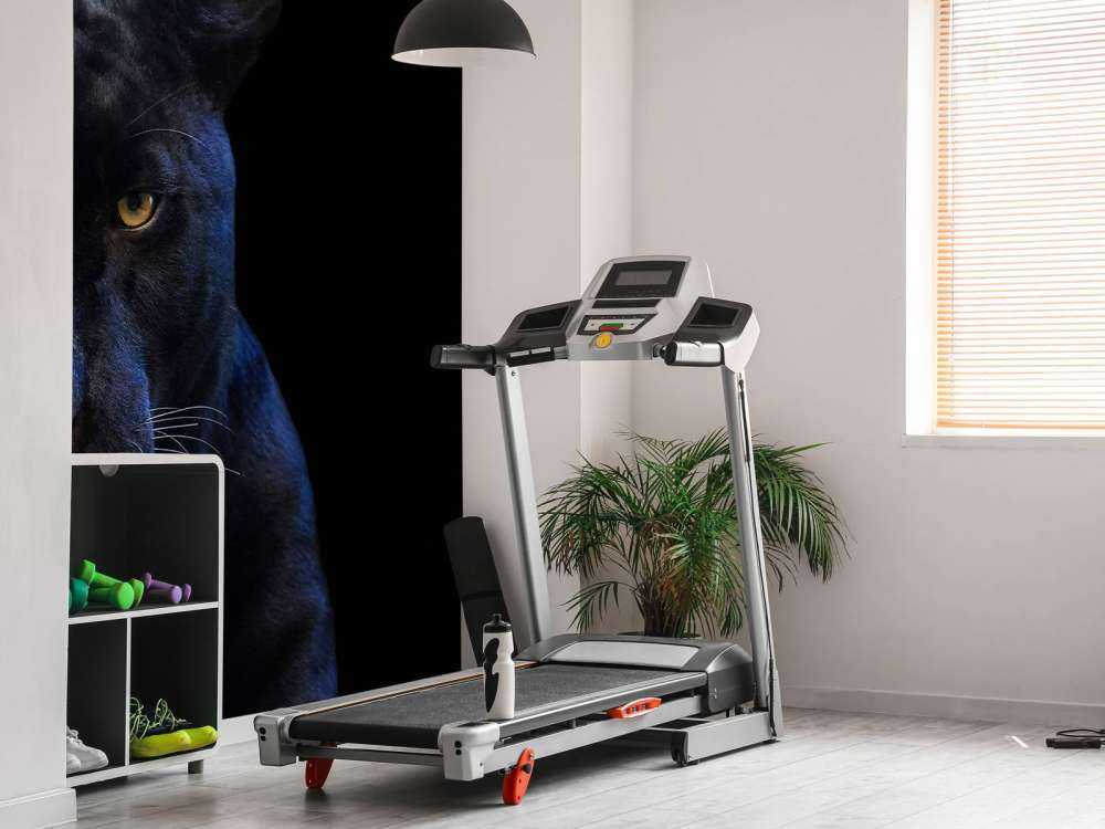 Nahaufnahme Panther