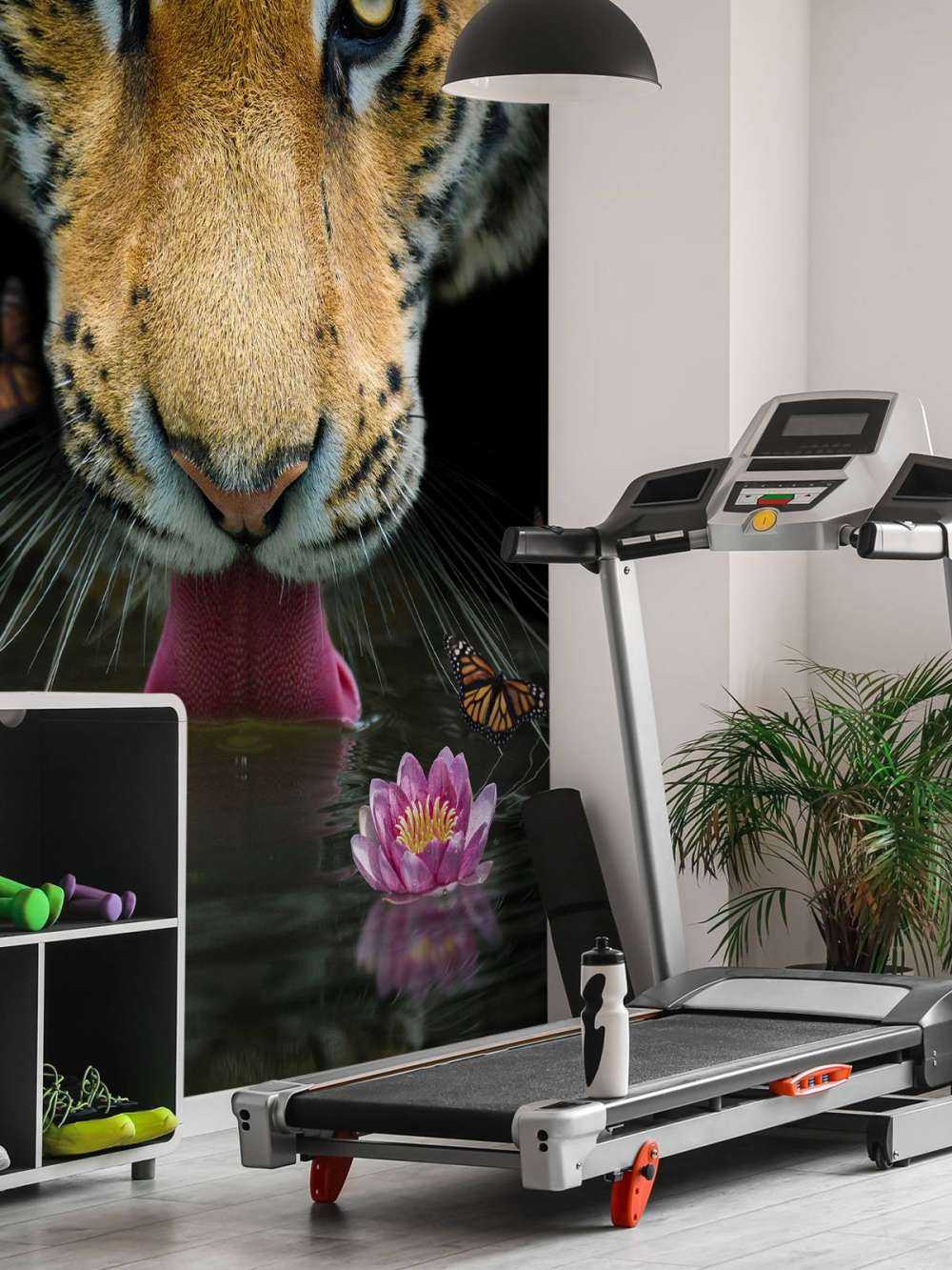 Dschungel Tiger Porträt