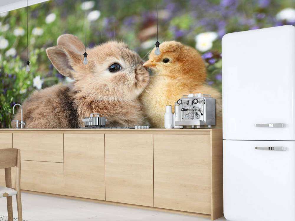 Kaninchen und Küken