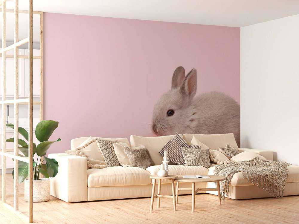Kaninchen mit Ei