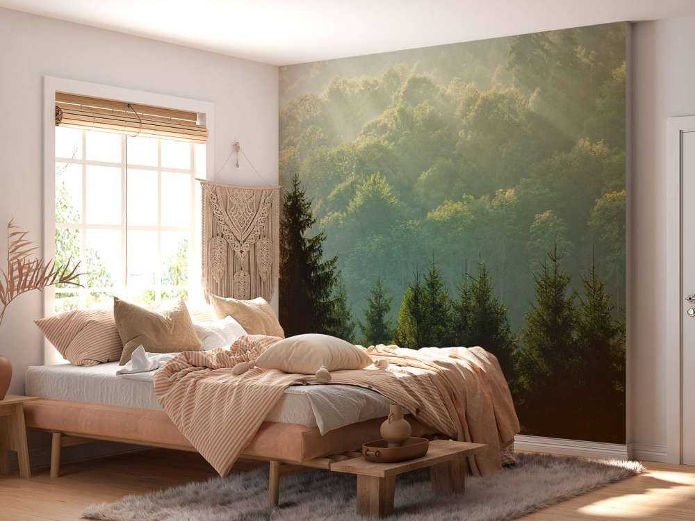 Sonnenstrahlen über dem Wald