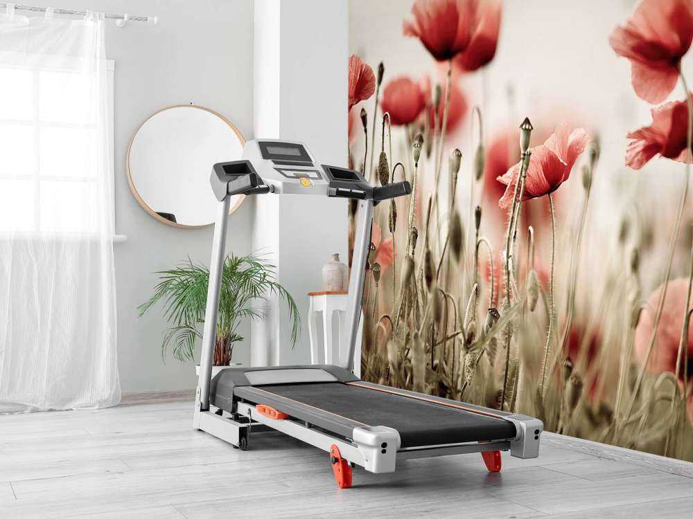 Verträumter Mohn