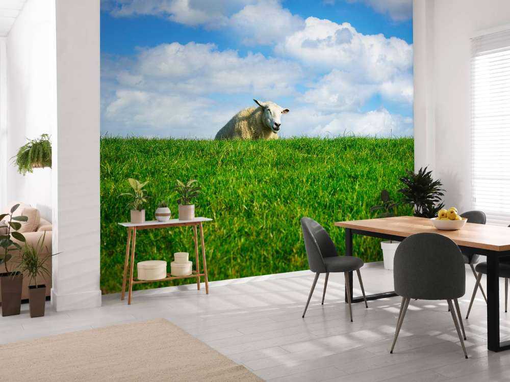 Schafe auf dem Deich