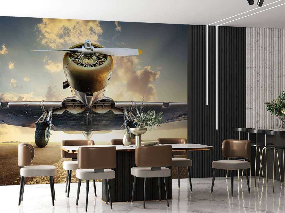 Historisches Flugzeug