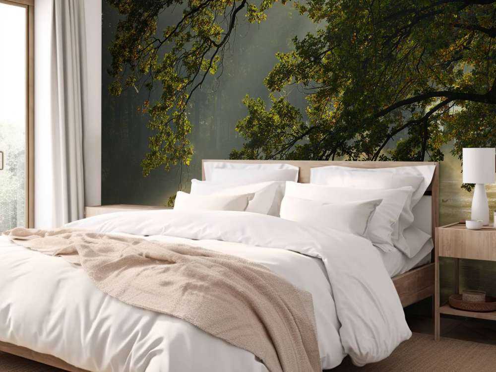 Überhängende Äste über dem Wasser