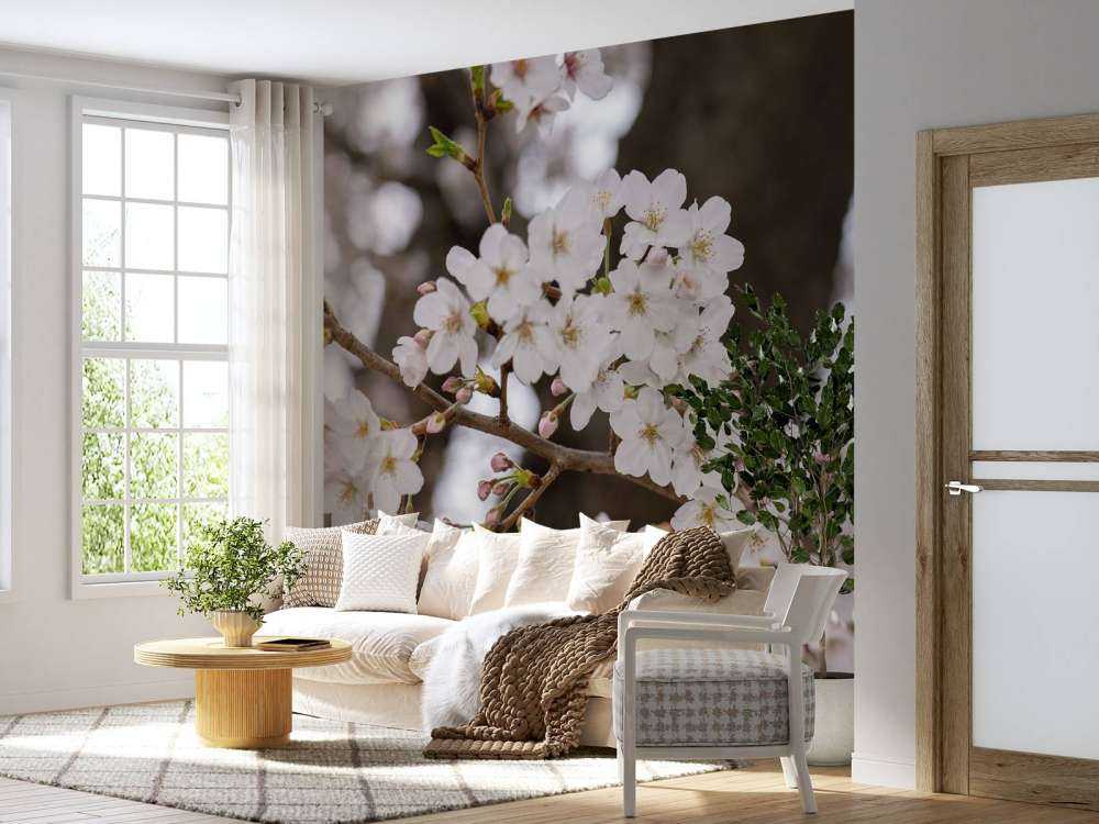 Weiße Blüten