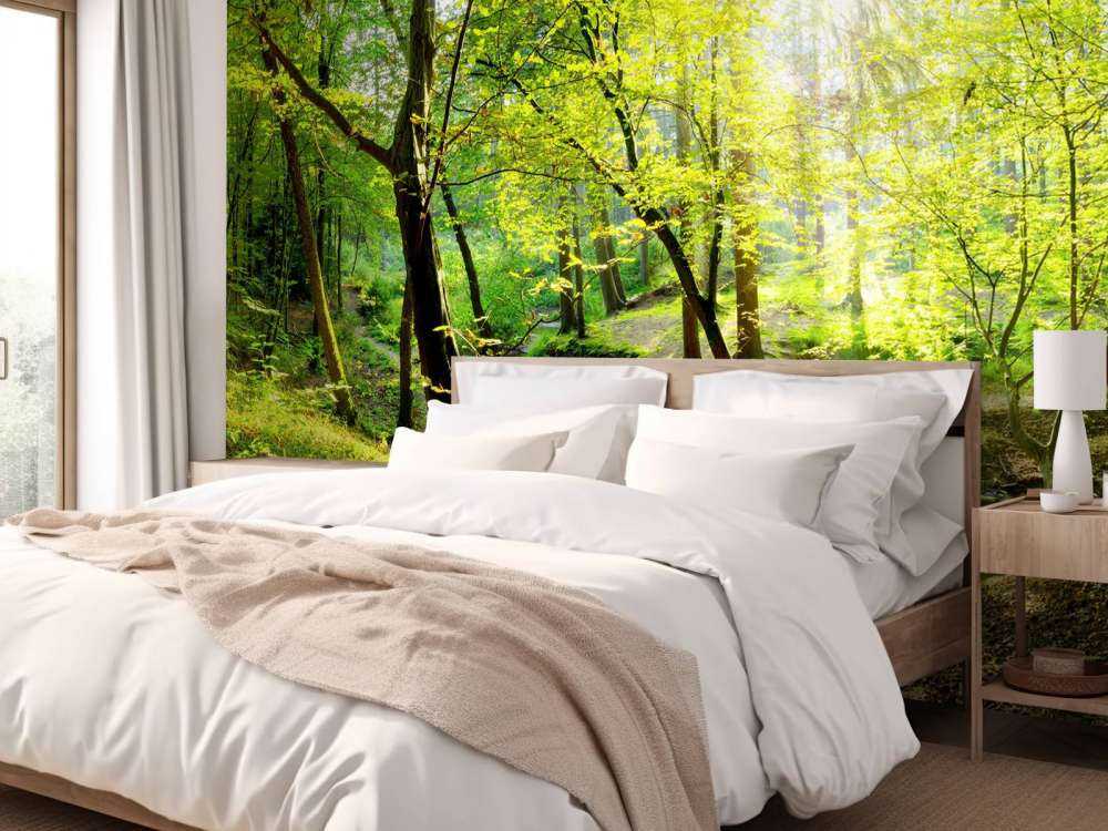 Wald mit Bach