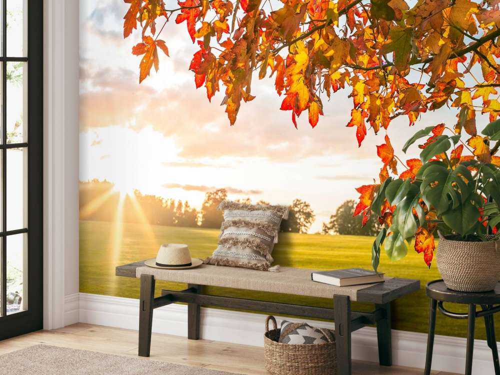 Herbstbaum bei Sonnenuntergang