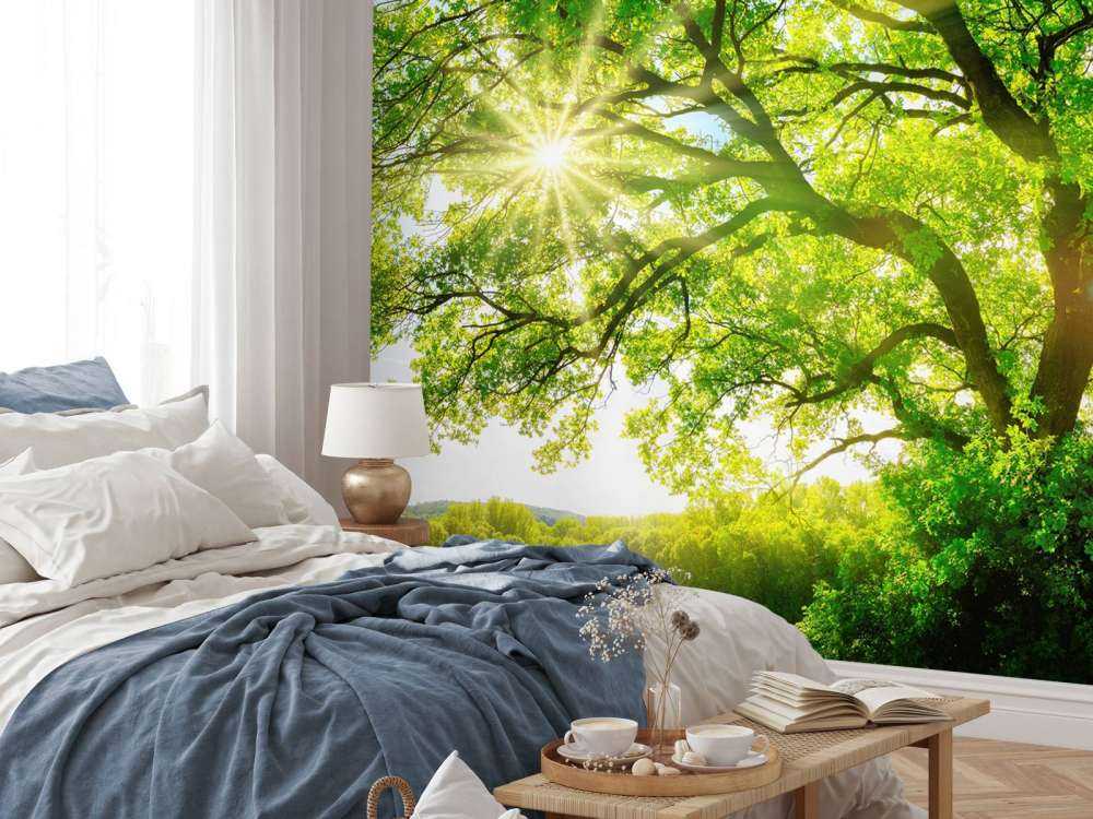 Baum mit Sonnenstrahlen