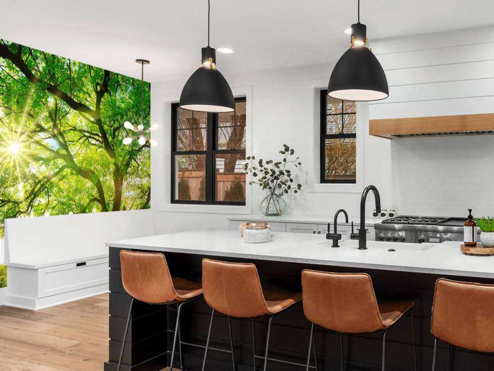 Baum mit Sonnenstrahlen