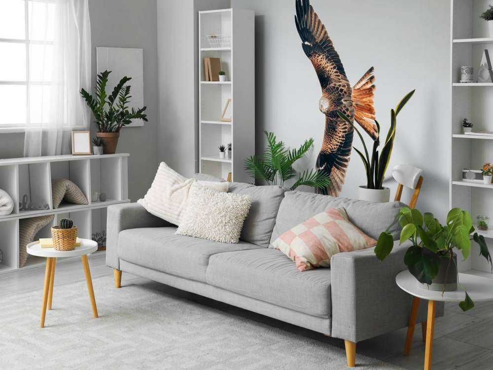 Rotmilan mit ausgebreiteten Flügeln