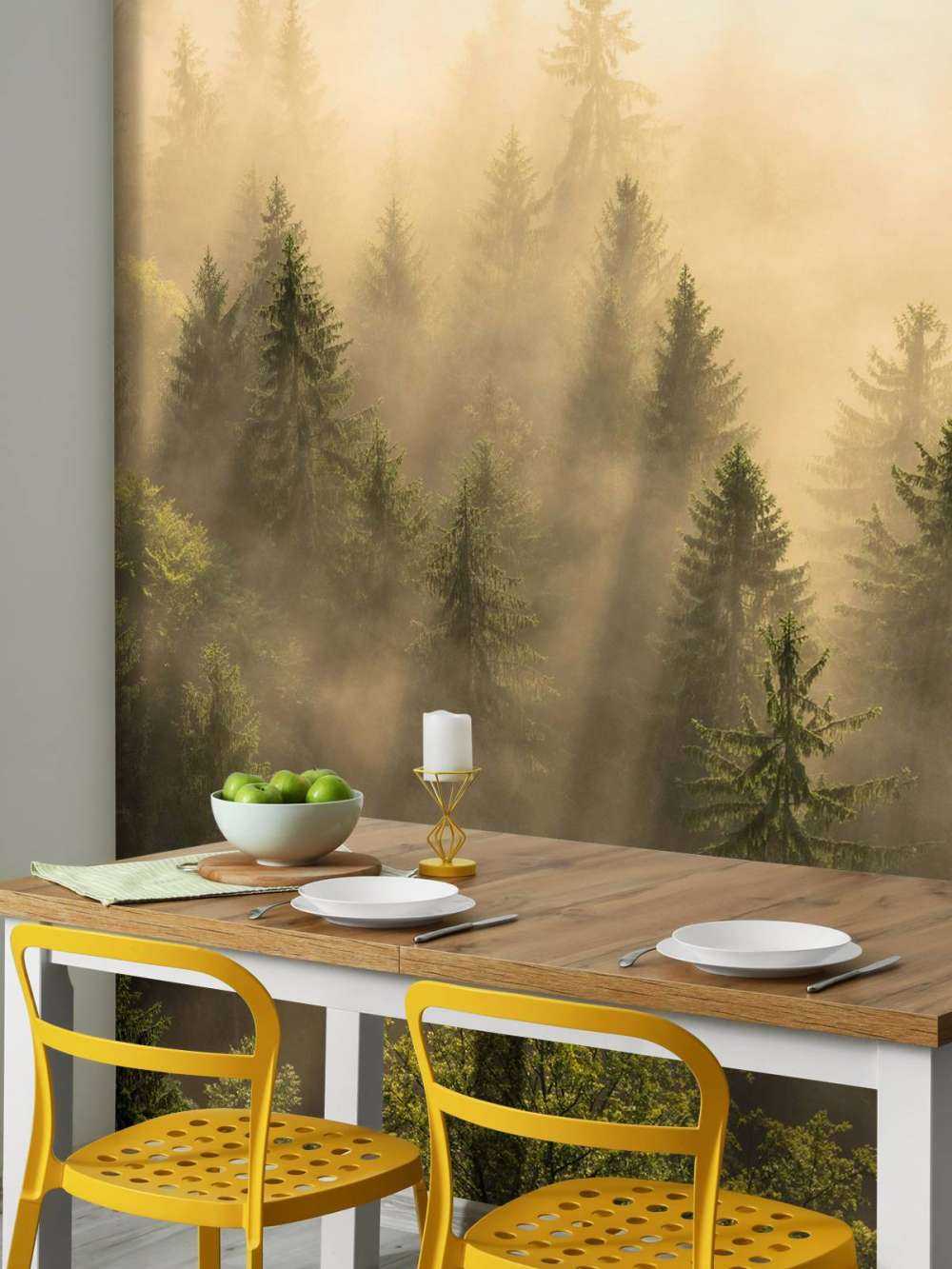Nebel zwischen den Kiefern