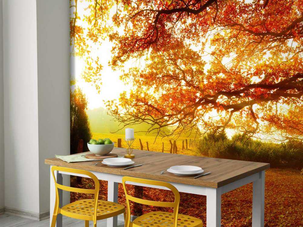 Herbstlandschaft mit Wald und Wiese