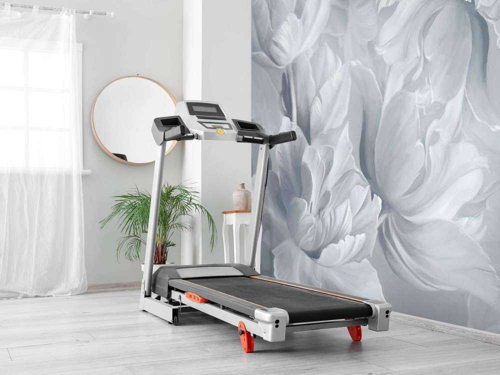 Große weiße Tulpen