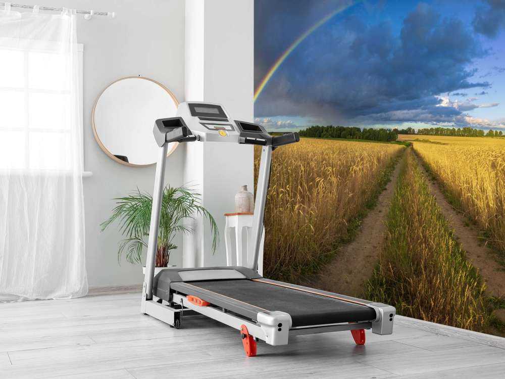 Regenbogen über einem Weizenfeld