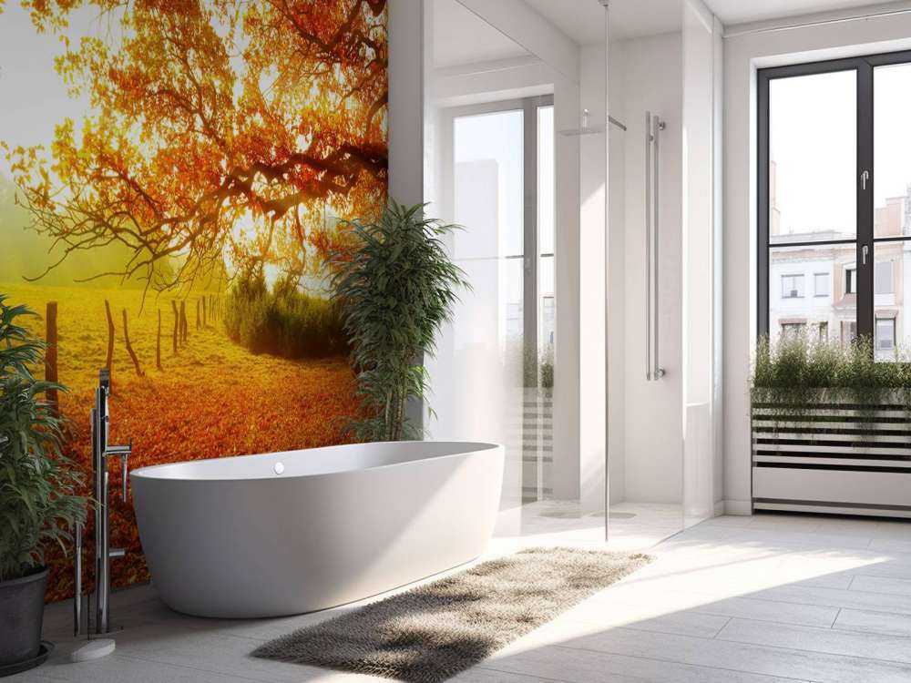 Herbstlandschaft mit Wald und Wiese