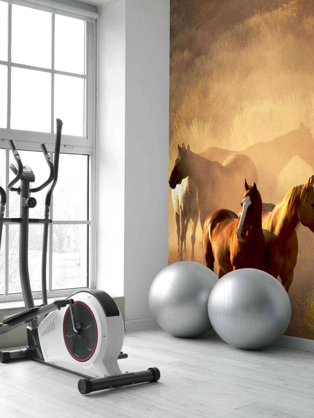 Pferde während des Sonnenuntergangs