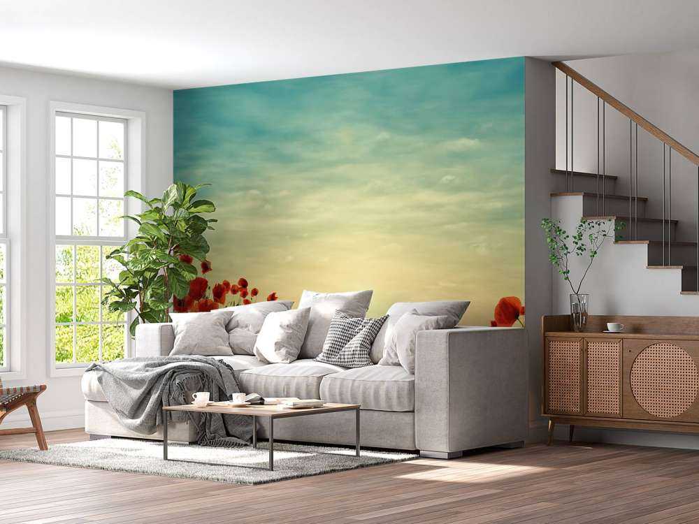 Mohnblumen mit Sonnenuntergang