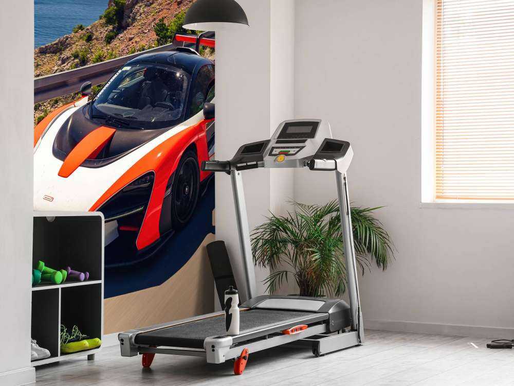 McLaren Senna Küstenausfahrt