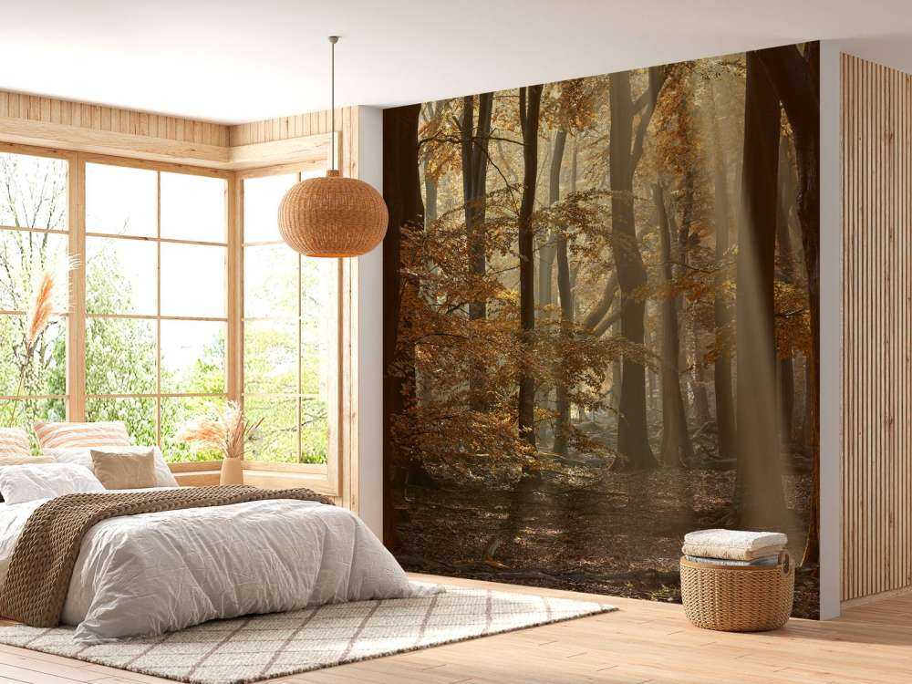 Herbstfarben im Wald