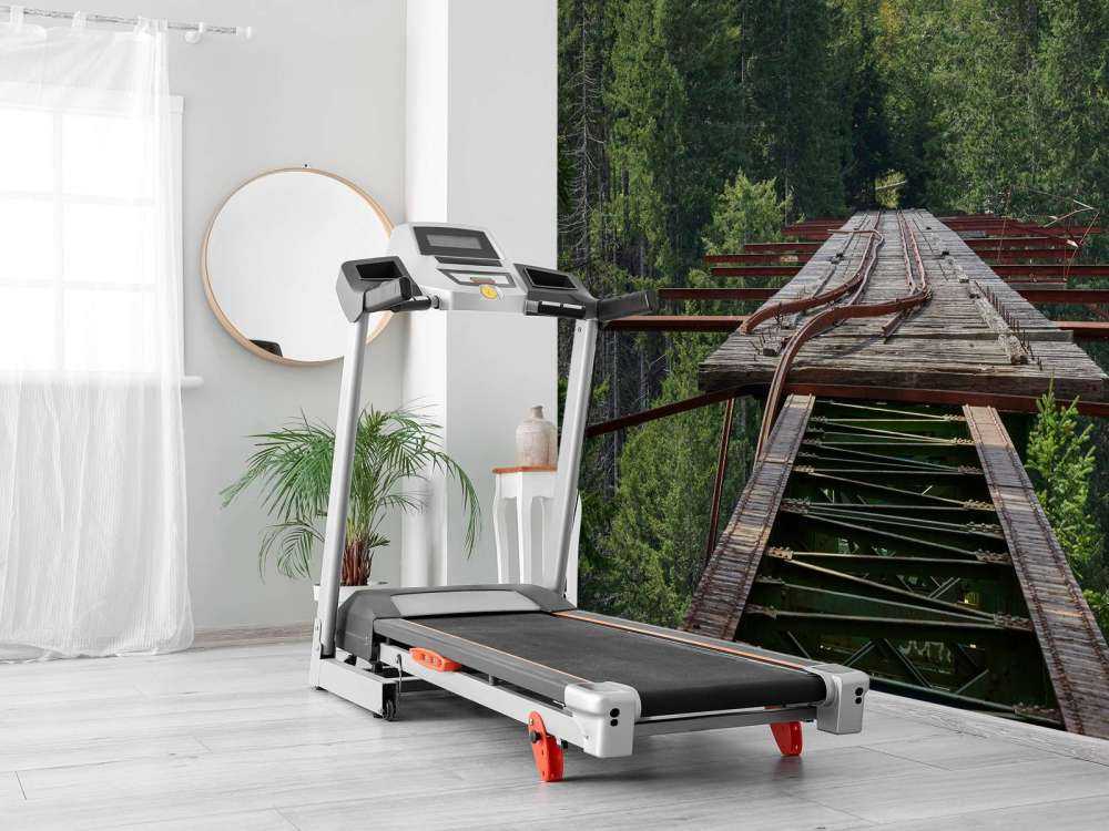 Alte Eisenbahnbrücke